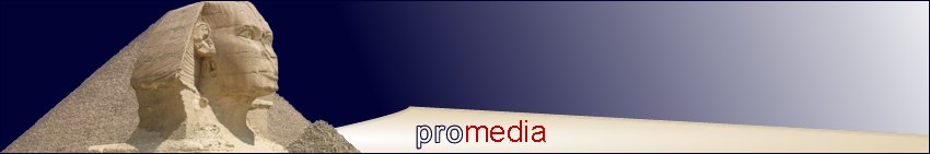 Bild, Logo der Firma promedia mit Sphinx